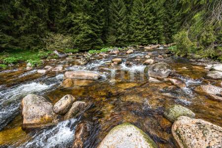 Prodej vícegeneračního domu, OV, 1044m2, Kořenov, Jablonec nad Nisou, Liberecký kraj